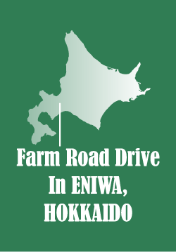 Farm Road Drive In Eniwa